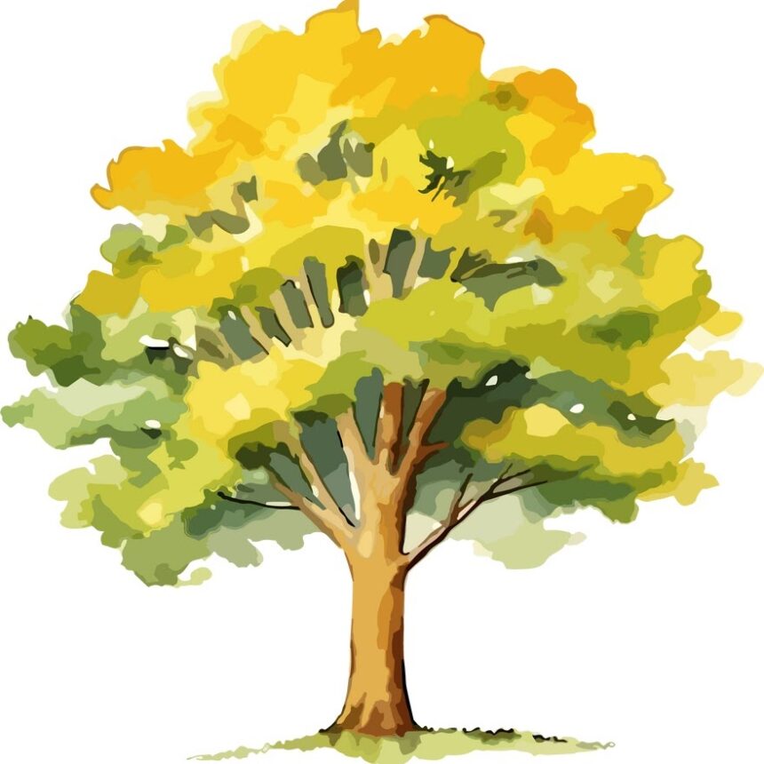 பாட்டியும் மஞ்சள் கொன்றையும்